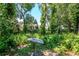 Enjoy the outdoors with this backyard birdbath surrounded by mature trees and ferns at 23924 Forest Pl, Land O Lakes, FL 34639