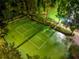 Aerial view of a well-maintained tennis court with white lines, surrounded by lush greenery and mature trees at 31646 Baymont Loop, Wesley Chapel, FL 33543