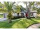 Landscaped front yard with palm tree and walkway leading to a charming one-story home featuring a bright red front door at 399 Walnut Ct, Palm Harbor, FL 34683