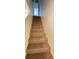 Carpeted staircase leading to the upper level of the home at 4003 Oak Limb Ct, Tampa, FL 33614