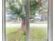 A view from a window to an exterior lush, green lawn, mature tree, and street at 4300 16Th N Ave, St Petersburg, FL 33713