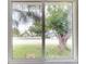 A view from the house window showing a green lawn, a tree, and the street in front of the house at 4300 16Th N Ave, St Petersburg, FL 33713