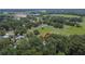 Expansive aerial view of property surrounded by mature trees, greenery and a rural landscape at 1110 Mercer Loop, Plant City, FL 33567