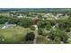 Aerial view showing the treed property and its picturesque neighborhood at 1110 Mercer Loop, Plant City, FL 33567
