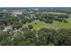 Expansive aerial view of property surrounded by mature trees, greenery and a rural landscape at 1110 Mercer Loop, Plant City, FL 33567