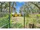 View of yellow home in backyard featuring lush green lawn and shady mature trees at 1110 Mercer Loop, Plant City, FL 33567