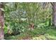 Scenic view of a creek and the lush green nature and wildlife surroundings at 1110 Mercer Loop, Plant City, FL 33567
