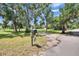 Exterior showcasing a long driveway and grassy front yard with mature trees and mailbox at 1110 Mercer Loop, Plant City, FL 33567