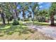Expansive front yard showcasing mature trees and a long driveway leading to the property at 1110 Mercer Loop, Plant City, FL 33567