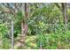 Close up outdoor view of foliage with natural tree growth and green vegetation at 1110 Mercer Loop, Plant City, FL 33567