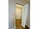 Walk-in closet featuring wood-look floors and shelving at 11941 Skylake Pl # 11941, Temple Terrace, FL 33617