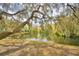 Scenic view of a tranquil pond with tree branches hanging overhead at 11941 Skylake Pl # 11941, Temple Terrace, FL 33617
