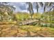 Picturesque wooden bridge over a peaceful pond surrounded by trees at 11941 Skylake Pl # 11941, Temple Terrace, FL 33617
