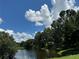 A serene pond view on a sunny day, showcasing lush greenery and a clear blue sky with scattered clouds at 11941 Skylake Pl # 11941, Temple Terrace, FL 33617