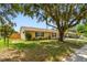 Well-kept single-Gathering home with a yellow exterior, black shutters, mature tree, and a grassy lawn at 1320 Oak Valley Dr, Seffner, FL 33584