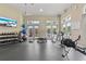 Well-equipped fitness center with modern exercise machines, natural light, and a television for entertainment during workouts at 18004 Avalon Ln, Tampa, FL 33647