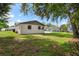 Lush backyard featuring a well-maintained lawn, mature trees, and the back of the home at 1826 Cadillac Cir, Tampa, FL 33619