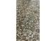 Close-up of the granite countertop at 244 & 243 Mariner Dr # 243-244, Tarpon Springs, FL 34689