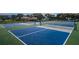 Outdoor pickleball courts provide active recreation opportunities for residents and guests at 244 & 243 Mariner Dr # 243-244, Tarpon Springs, FL 34689