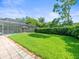 Lush backyard featuring well-manicured lawn, screened-in pool area, and privacy hedges at 4209 Winding Willow Dr, Tampa, FL 33618