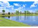 Scenic view of a tranquil pond reflecting blue skies and lush green landscaping at 6327 Positano Ct, Sarasota, FL 34243