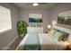 Cozy bedroom featuring a ceiling fan, large window, and stylish furnishings at 8405 N Willow Ave, Tampa, FL 33604