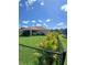 Well-manicured backyard featuring a green lawn enclosed by a black chain-link fence and tropical foliage at 1185 Rio De Janeiro Ave, Punta Gorda, FL 33983
