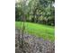 View of the backyard, showcasing lush green grass and landscaping at 12749 Aston Creek Dr, Tampa, FL 33626