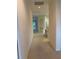 Bright hallway leading to other rooms with carpeted floor and neutral paint at 12749 Aston Creek Dr, Tampa, FL 33626