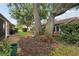 A verdant backyard features mature trees that offer ample shade and privacy at 1830 Cypress Trace Dr, Safety Harbor, FL 34695