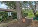 A lush, green backyard is showcased, accentuated by mature trees and landscaping at 1830 Cypress Trace Dr, Safety Harbor, FL 34695