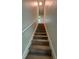 Carpeted stairs leading to upper level of home with white painted banister at 222 Spring Lake Hwy, Brooksville, FL 34602