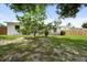 A spacious backyard with lush grass and mature trees, perfect for relaxation or outdoor activities at 5627 57Th N Ave, St Petersburg, FL 33709