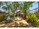 Backyard featuring wood deck, landscaping, a blue umbrella, and green trees at 6016 N Dexter Ave, Tampa, FL 33604