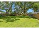 Large, grassy backyard is bordered by a wood fence and mature trees at 6016 N Dexter Ave, Tampa, FL 33604