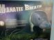 Informative display of a manatee, highlighting the details about their breath and lungs at 916 Bunker View Dr, Apollo Beach, FL 33572