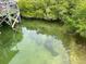 Several manatees swimming in clear water, visible from a wooden dock at 916 Bunker View Dr, Apollo Beach, FL 33572