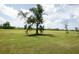 Large open field with scattered trees and houses in the background at 916 Bunker View Dr, Apollo Beach, FL 33572