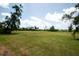 Expansive grassy field with scattered trees and houses in the background at 916 Bunker View Dr, Apollo Beach, FL 33572