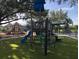 Colorful play structure on green turf at 916 Bunker View Dr, Apollo Beach, FL 33572