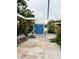 Backyard featuring a blue storage unit, palm trees, and a vine-covered trellis at 114 N Arcturas Ave, Clearwater, FL 33765