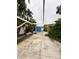 Backyard featuring a blue storage unit, palm trees, and a vine-covered trellis at 114 N Arcturas Ave, Clearwater, FL 33765