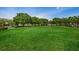 Expansive, well-maintained community green space and manicured lawns under a blue sky at 14617 Galt Lake Dr, Tampa, FL 33626