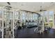Community fitness center with modern machines, black rubber flooring, and large windowed wall at 14617 Galt Lake Dr, Tampa, FL 33626