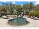 Backyard kidney-shaped pool with slide, lounge area, and lake views at 14617 Galt Lake Dr, Tampa, FL 33626