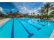 Large swimming pool with lap lanes, palm trees, and a sunbathing area at 14617 Galt Lake Dr, Tampa, FL 33626