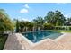 Beautiful backyard pool surrounded by lush, tropical landscaping and brick pavers at 15415 Otto Rd, Tampa, FL 33624