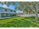 Large backyard featuring lush green grass, mature trees, and a white privacy fence at 1734 Mapleleaf Blvd, Oldsmar, FL 34677
