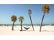 Beautiful beach scene with palm trees, blue skies, and people enjoying the sun at 3225 Rosery Ne Rd, Largo, FL 33771