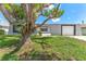 Well-maintained home exterior showcasing the front lawn and tree with shadows at 4016 Grayton Dr, New Port Richey, FL 34652